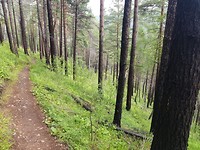 20190724_122028