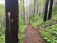 20190724_121725