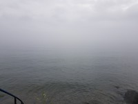 20190723_154951
