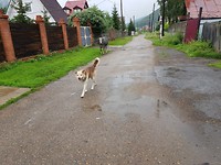 20190723_105142