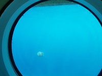 20190817_141821