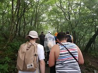 20190815_075504