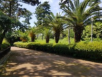 20190814_140225