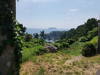 20190814_135215