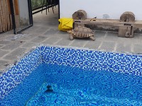 20191006_152811