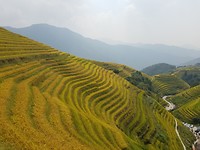 20191004_130500