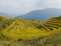 20191004_124145