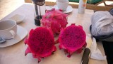 ook op het strand zorgen we voor de nodige vitamientjes, dragon fruit