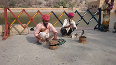 slangenbezweerder bij amber fort