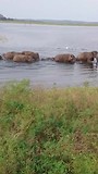 De olifanten in Kaudula NP komen door het water bij ons aan land