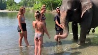 Een olifantendouche voor Kiki