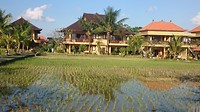Sri Bungalows in Ubud :de "villa" van Larry en Kim