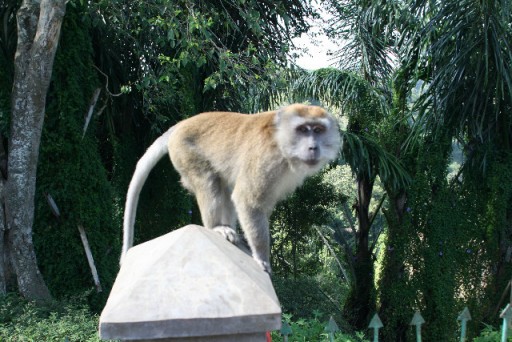 Die kerel komen wij tijdens onze vakantie's overal tegen.