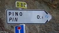 Op weg naar Pino!