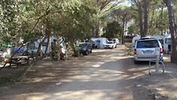 Camping La Pinède in Calvi