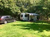 Mooi maar hobbelig plaatsje bij Minicamping Klein Sonsbeek