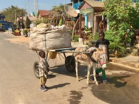 Bekend straatbeeld in Gambia