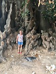 Hetty bij de oudste boom van Gambia