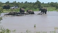 Jeepsafari Swaziland