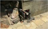Beppu (4)