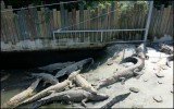 Beppu (6)