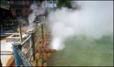 Beppu (8)