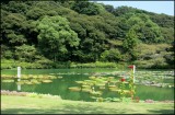 Beppu (19)