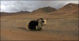 Nagqu - Tanggulashan (20)