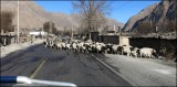 Korlu - Urumqi (4)