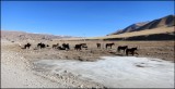 Korlu - Urumqi (13)