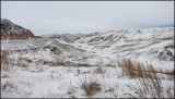 Almaty - grens Kirgizië - Almaty (7)