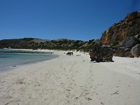 Het strand!
