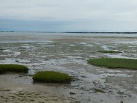 Laag water