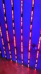 Jenny Holzer Installation in het Guggenheim