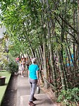 Wandelen door de stad