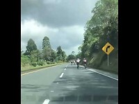 Wielrenners op de autoweg