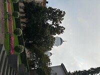 IMG_6509