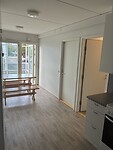 IMG_6594