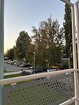 IMG_6653