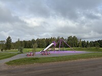 IMG_6637
