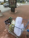 IMG_6619