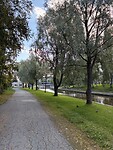 IMG_6717