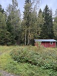 IMG_6813