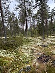 IMG_6826