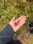 IMG_6840
