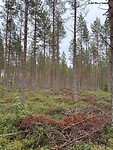 IMG_6841