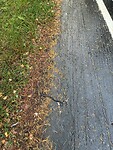 IMG_6859