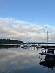 IMG_6965
