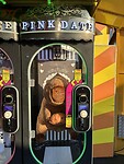 IMG_6993