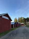 IMG_7813